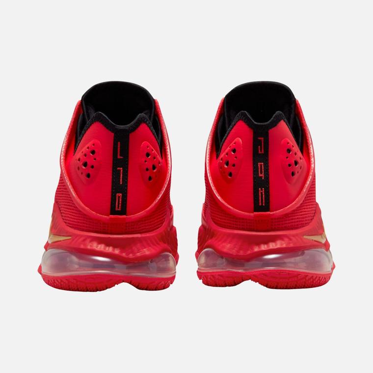 Nike LeBron XIX Low Erkek Basketbol Ayakkabısı